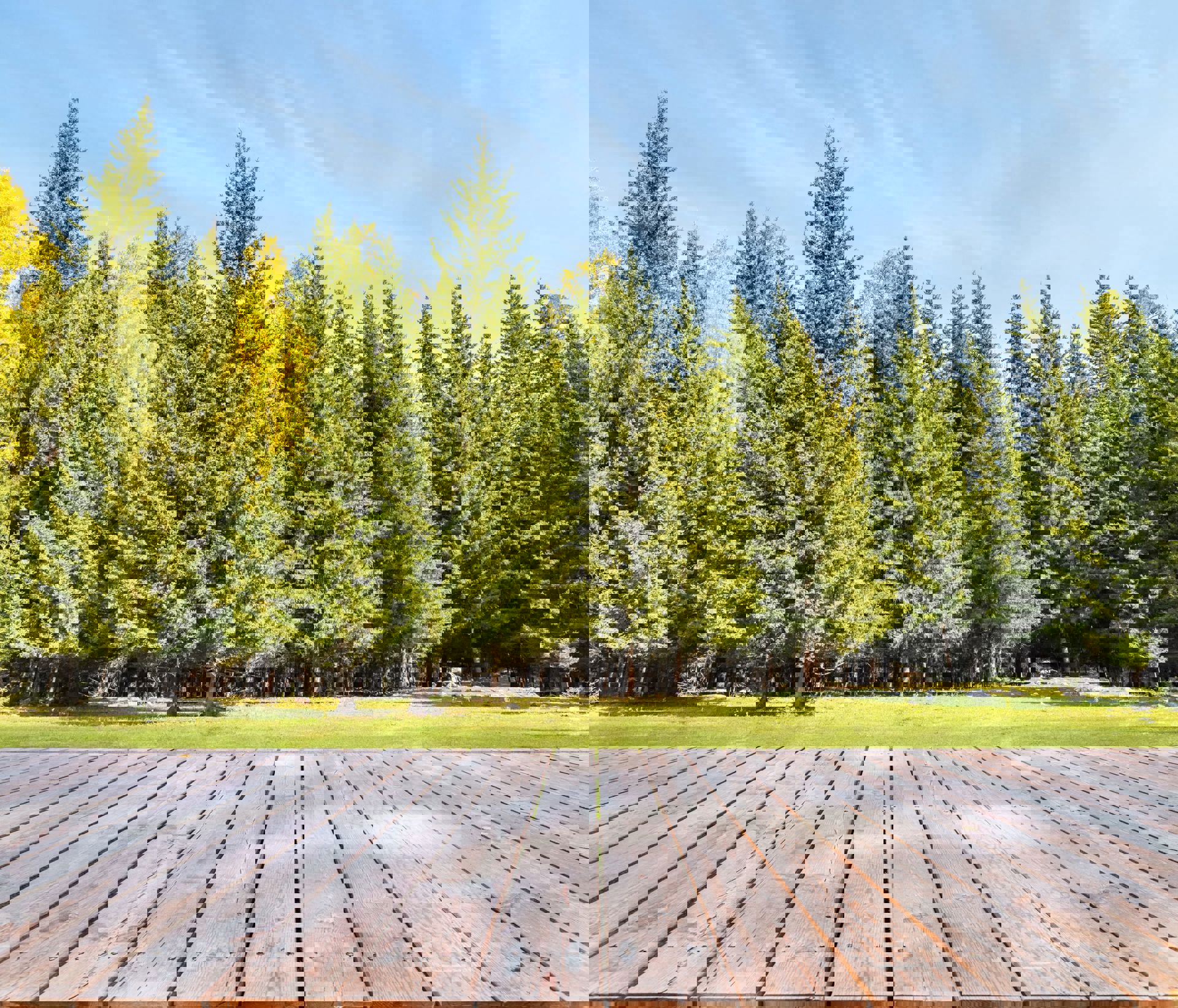A ground-level deck with a beautiful forest background.